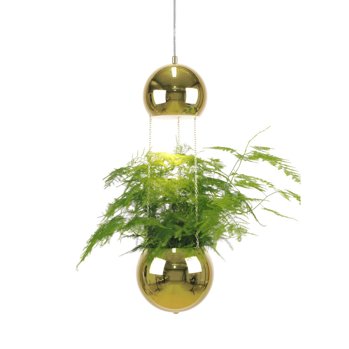 Globen Lighting Planter ceiling lamp with flower pot brass