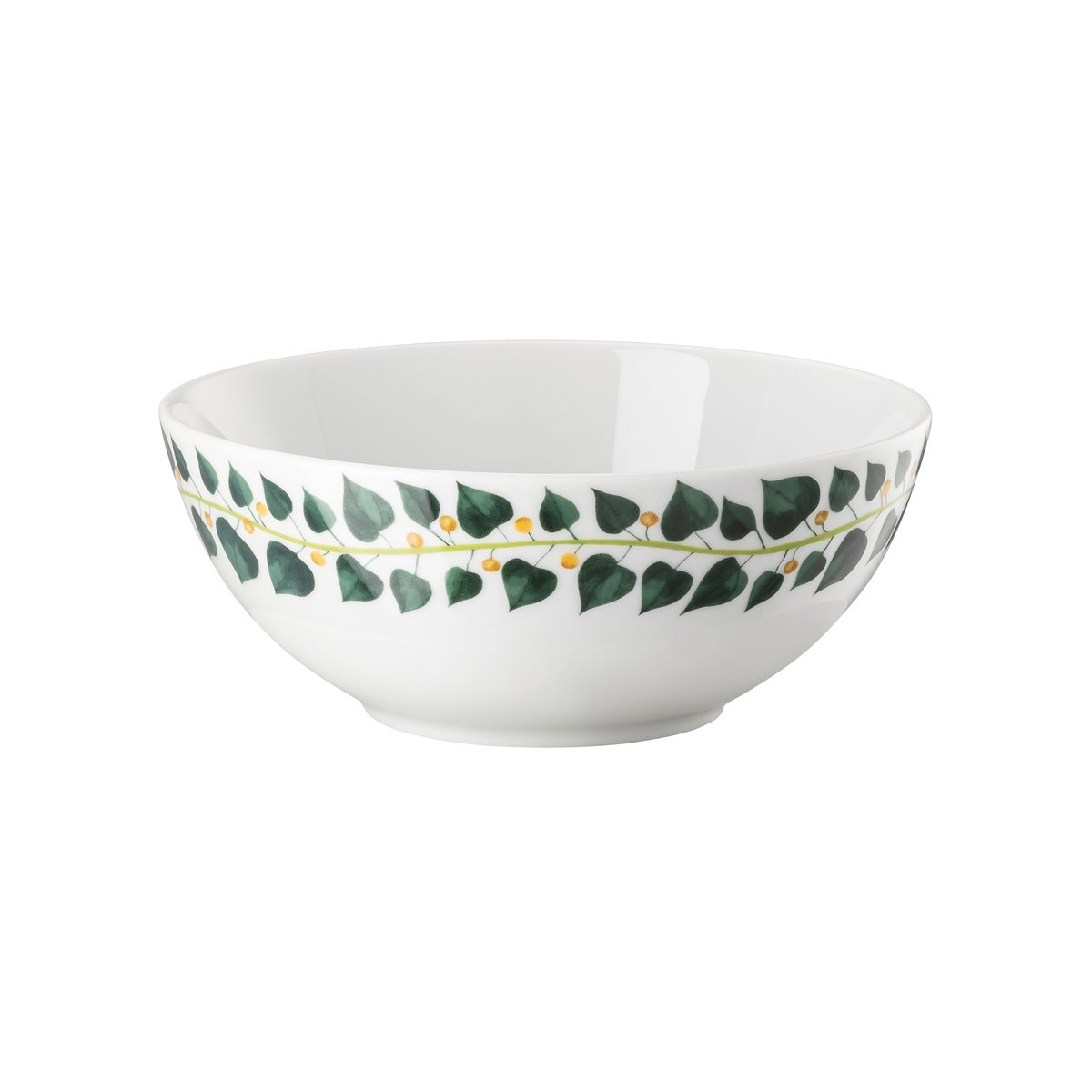 Rosenthal Magic Garden Foliage Müslischale 15cm Weiß-grün