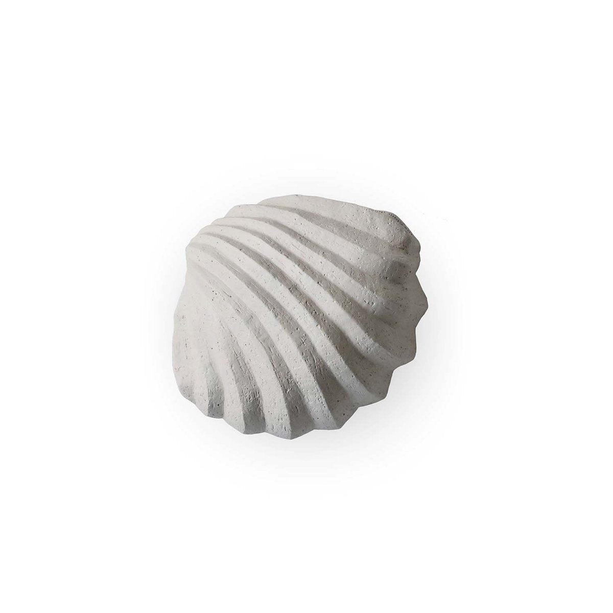 Cooee Design The Clam Shell Skulptur 13cm Limestone