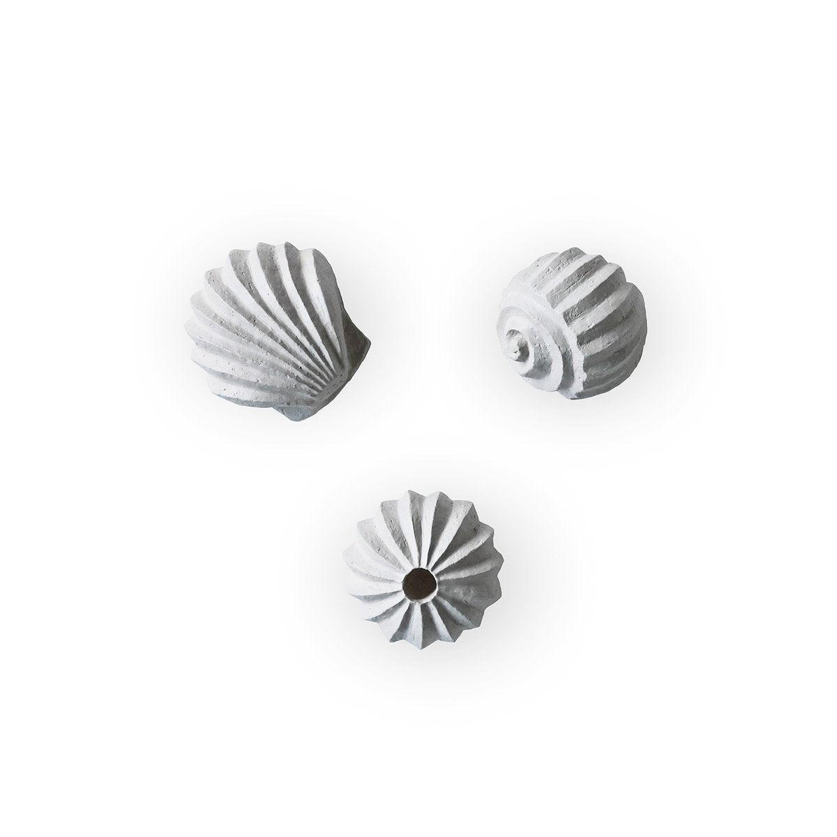 Cooee Design The Genesis Shells Skulptur 3er Pack Limestone