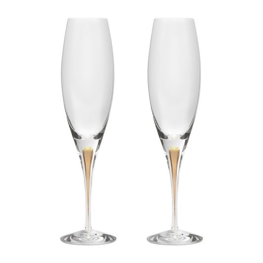 Orrefors Intermezzo champagneglas 26 cl 2-pack Guld