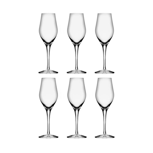 Orrefors Sense champagneglas 25,5 cl 6-pack Klar