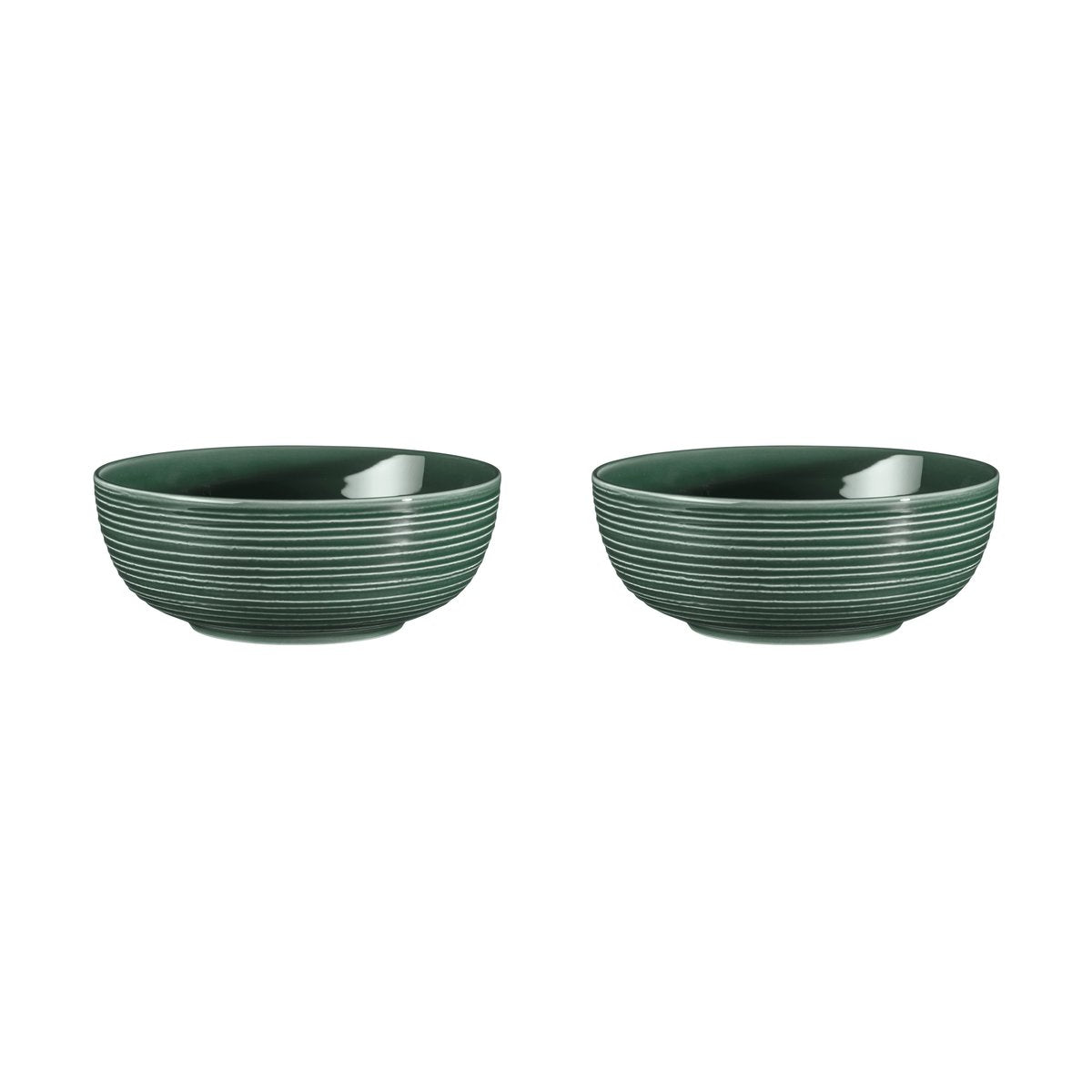 Seltmann Weiden Terra skål Ø20,4 cm 2-pack Moss Green