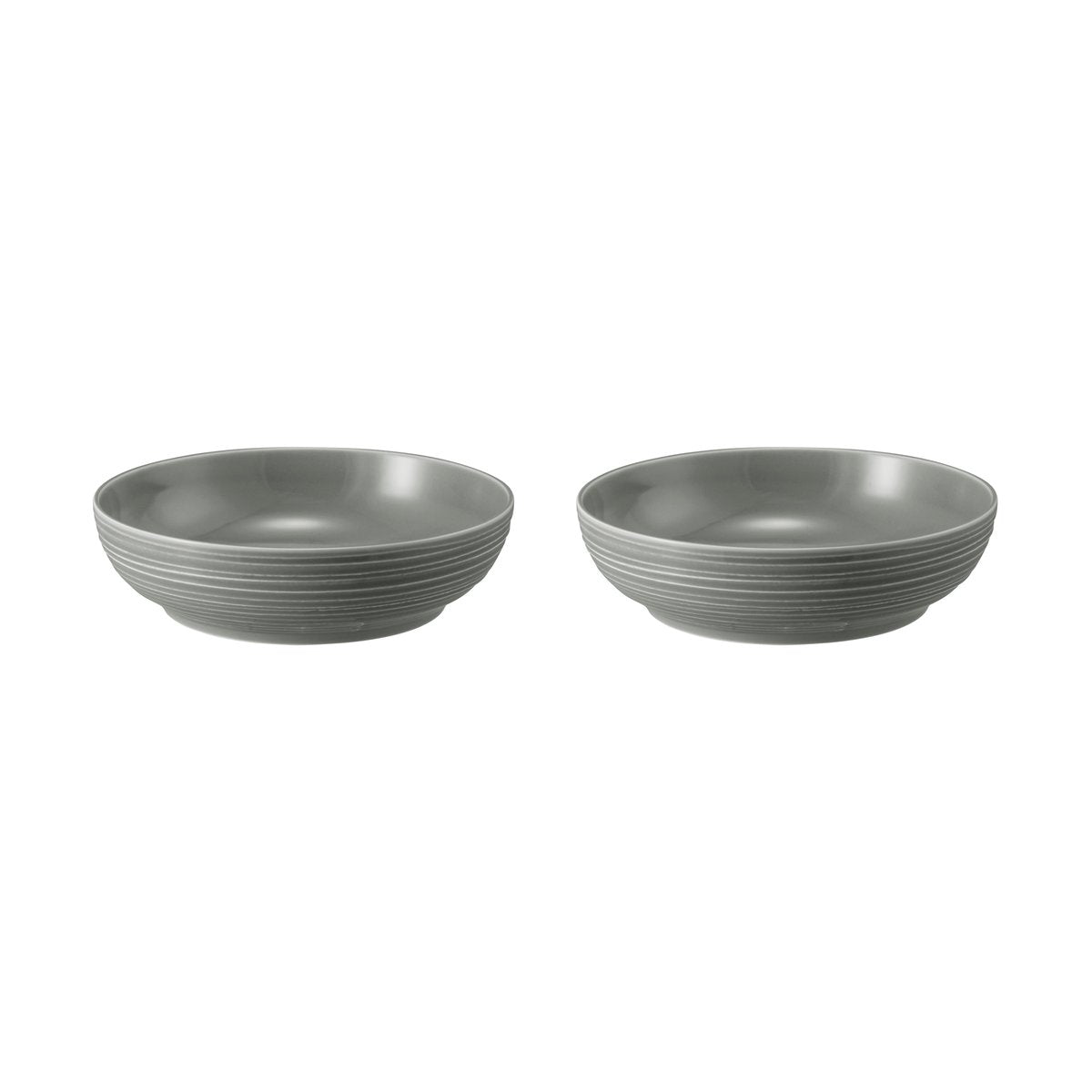 Seltmann Weiden Terra skål Ø25,5 cm 2-pack Pearl Grey