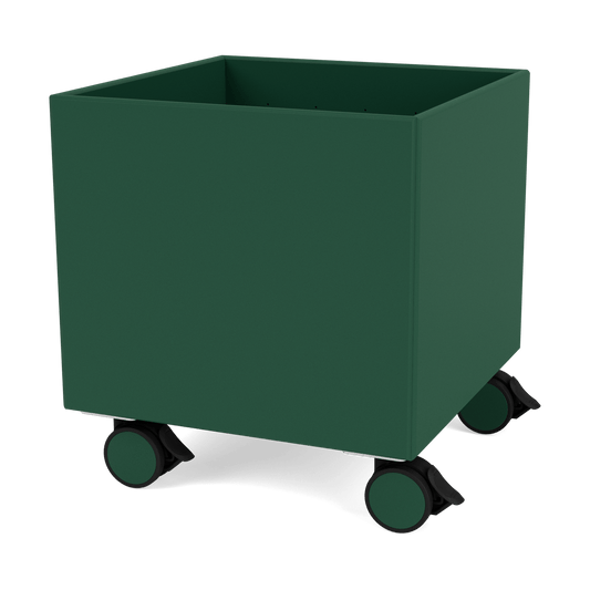 Montana Colour Box I – S6161 Pine