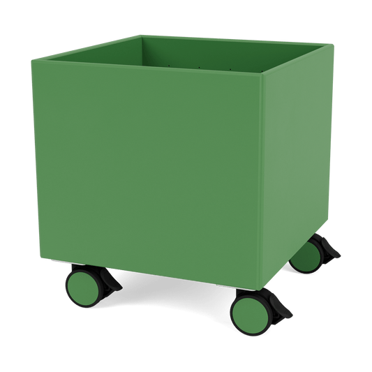 Montana Colour Box I – S6161 Parsley