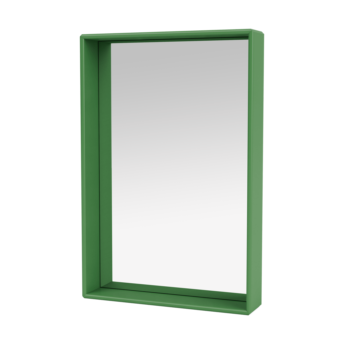 Montana Shelfie colour frame spegel 46,8x69,6 cm Parsley