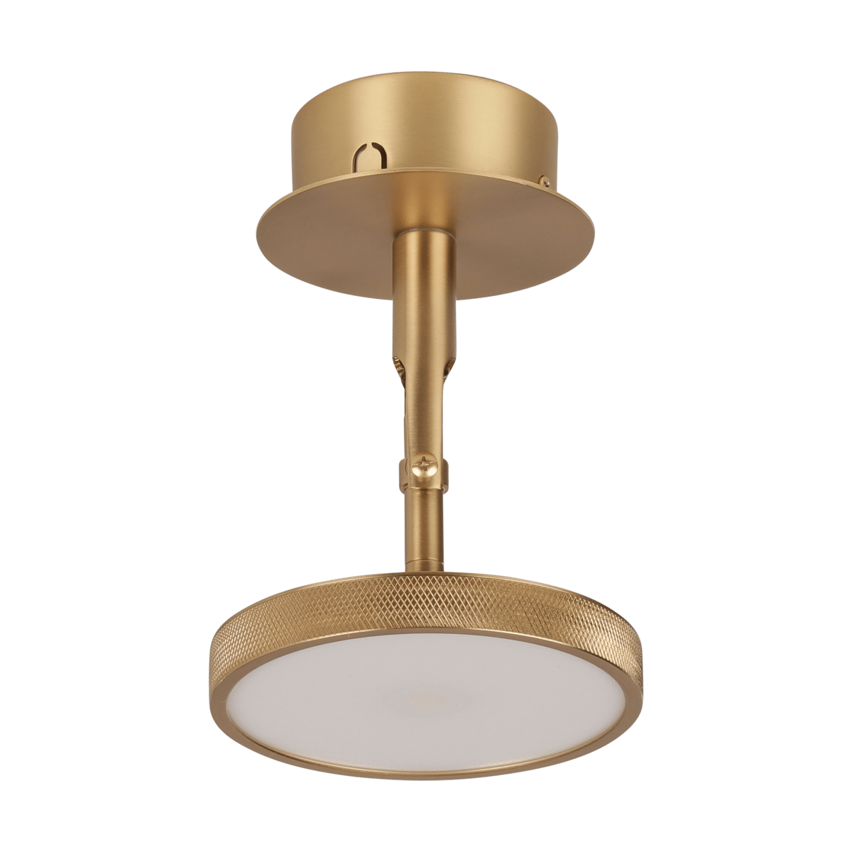 Umage Asteria Spot tak-och vägglampa Ø12 cm Polished brass