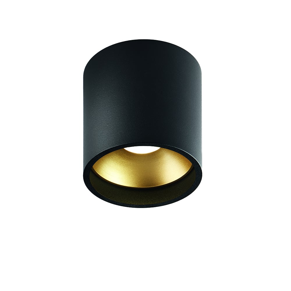 Light-Point Solo Round spotlight Black/gold, 3000 kelvin