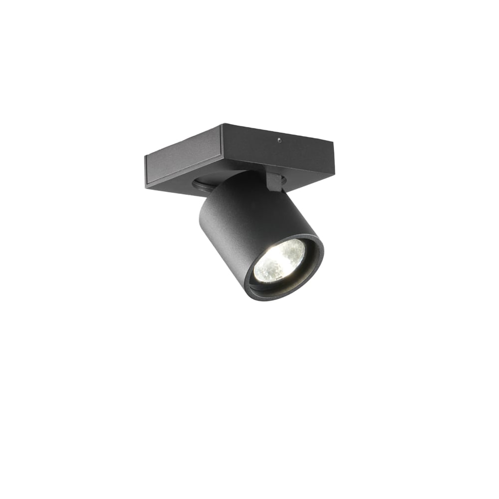 Light-Point Focus 1 Wand- und Pendelleuchte Black, 2700 kelvin