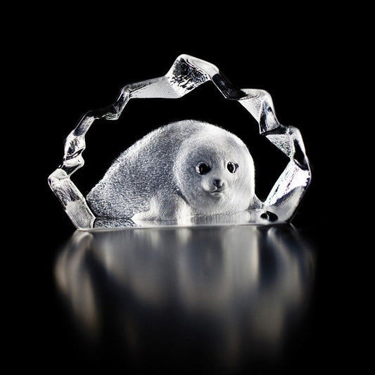 Målerås Glasbruk Wildlife Seal sculpture glass