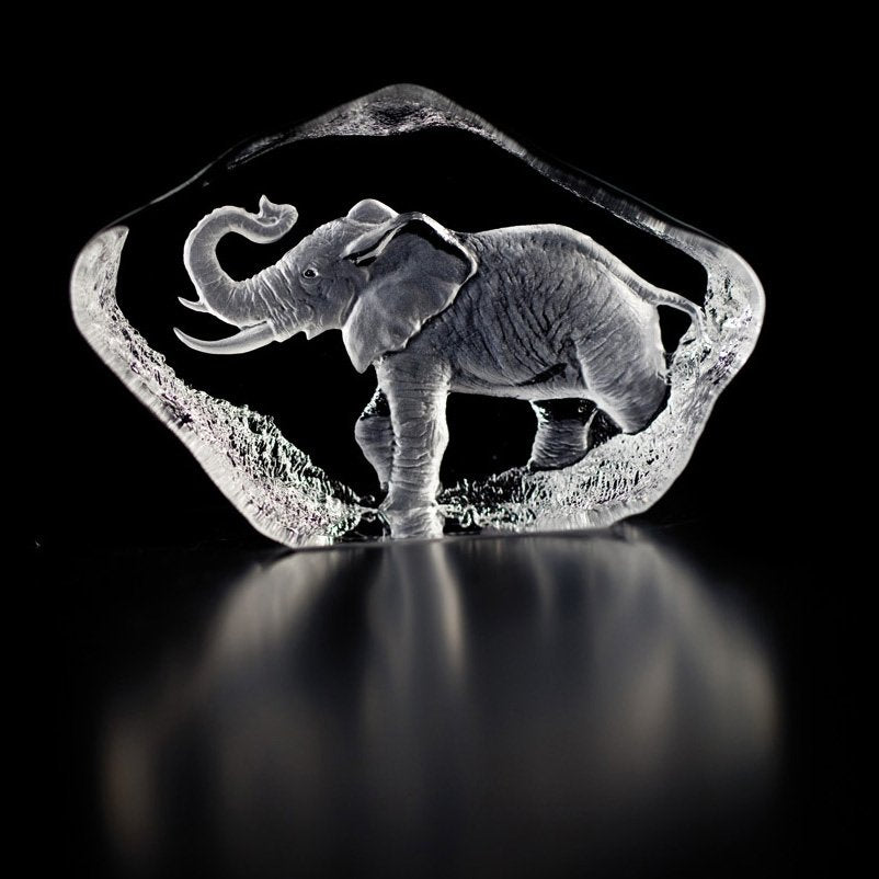 Målerås Glasbruk Wildlife Skulptur Elefant Glas