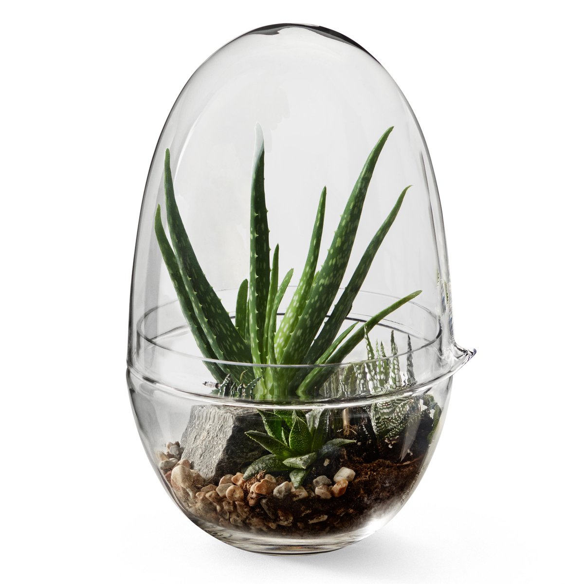 Design House Stockholm Grow Mini-Gewächshaus x-large Ø20 cm